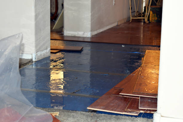 Professional Water Damage technician working in Austin, TX